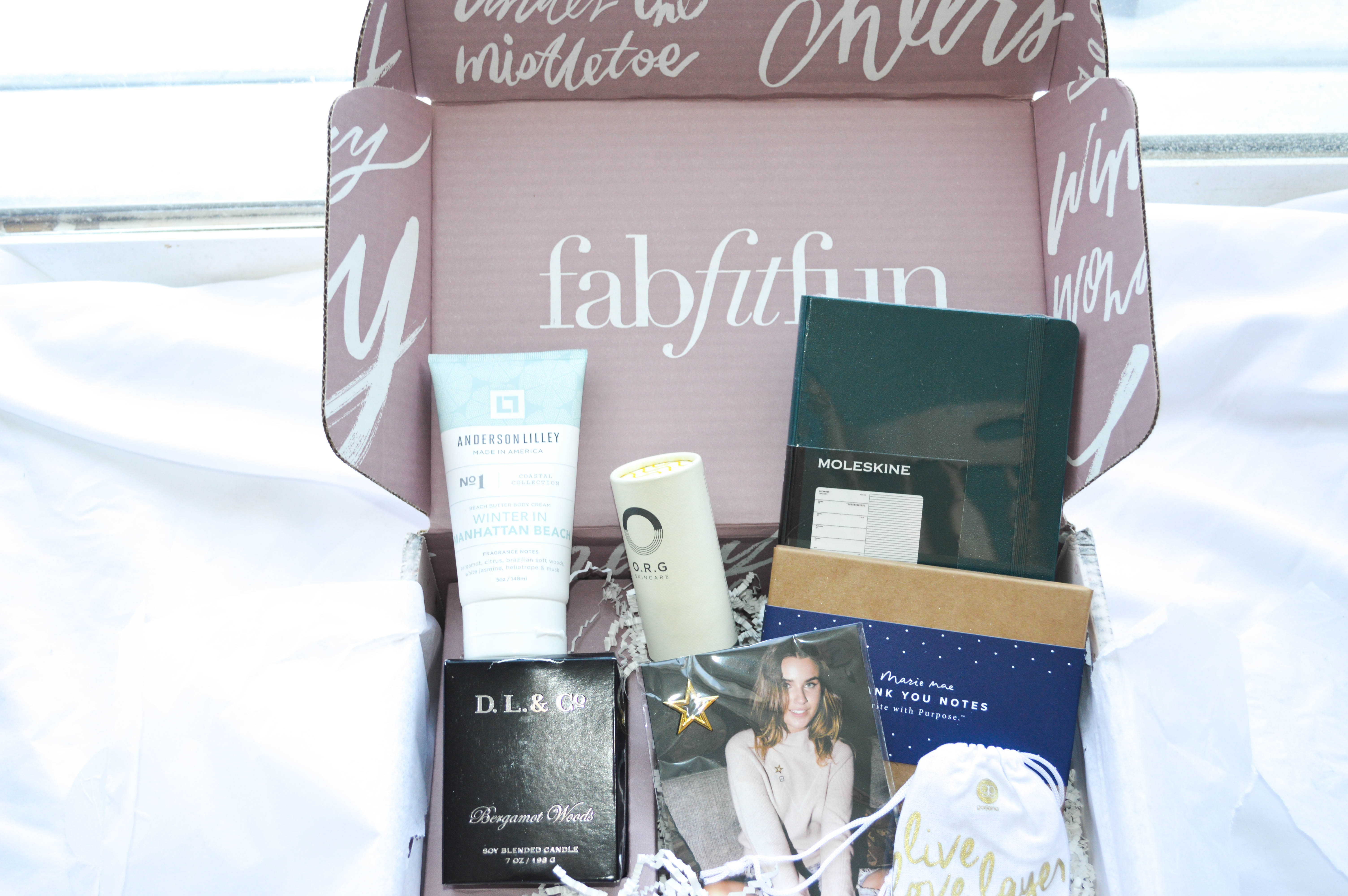 Fab Fit Fun Winter Box Review All Things Lovely