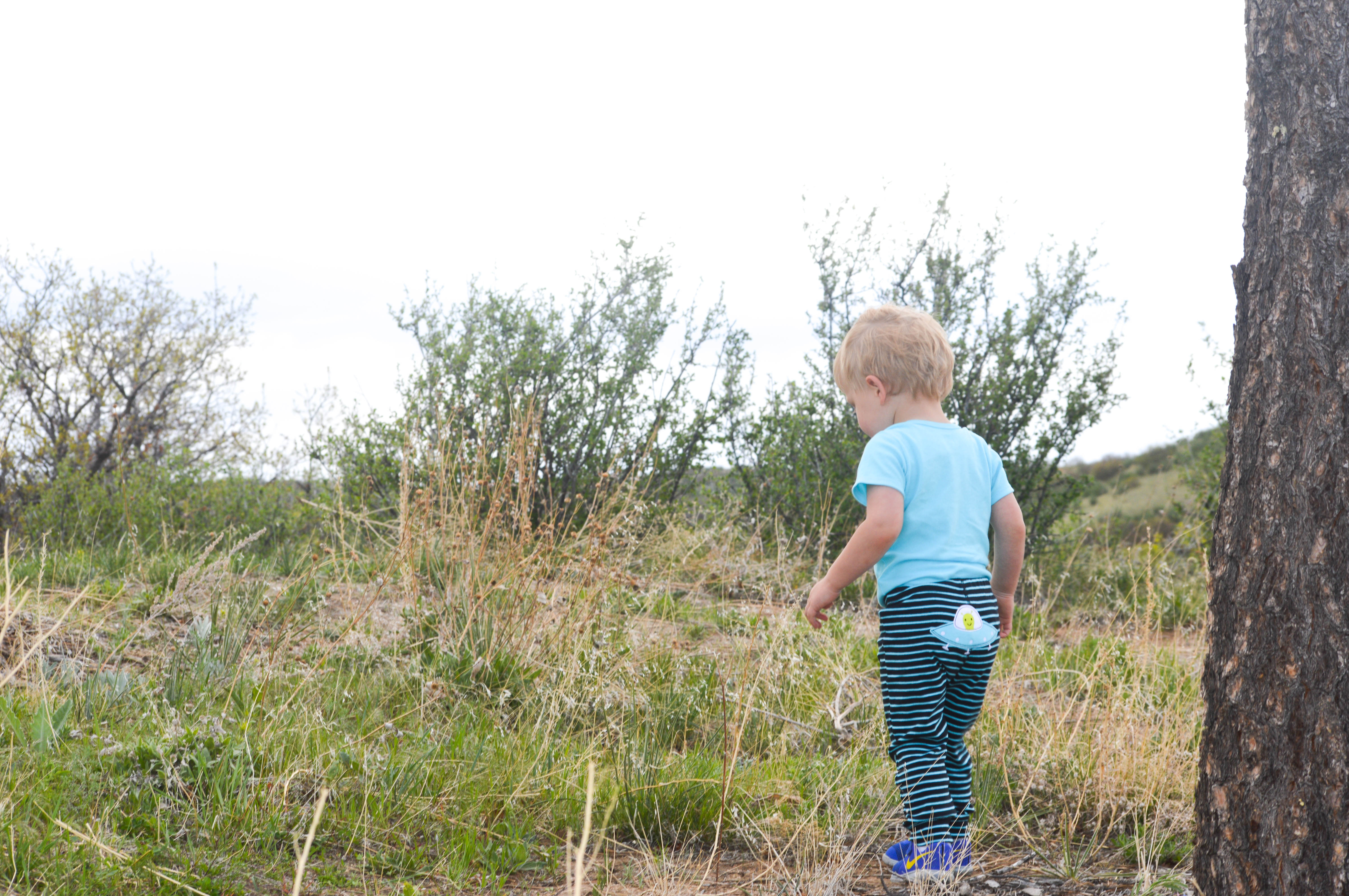 Becoming a Big Brother featured by popular Denver lifestyle blogger, All Things Lovely