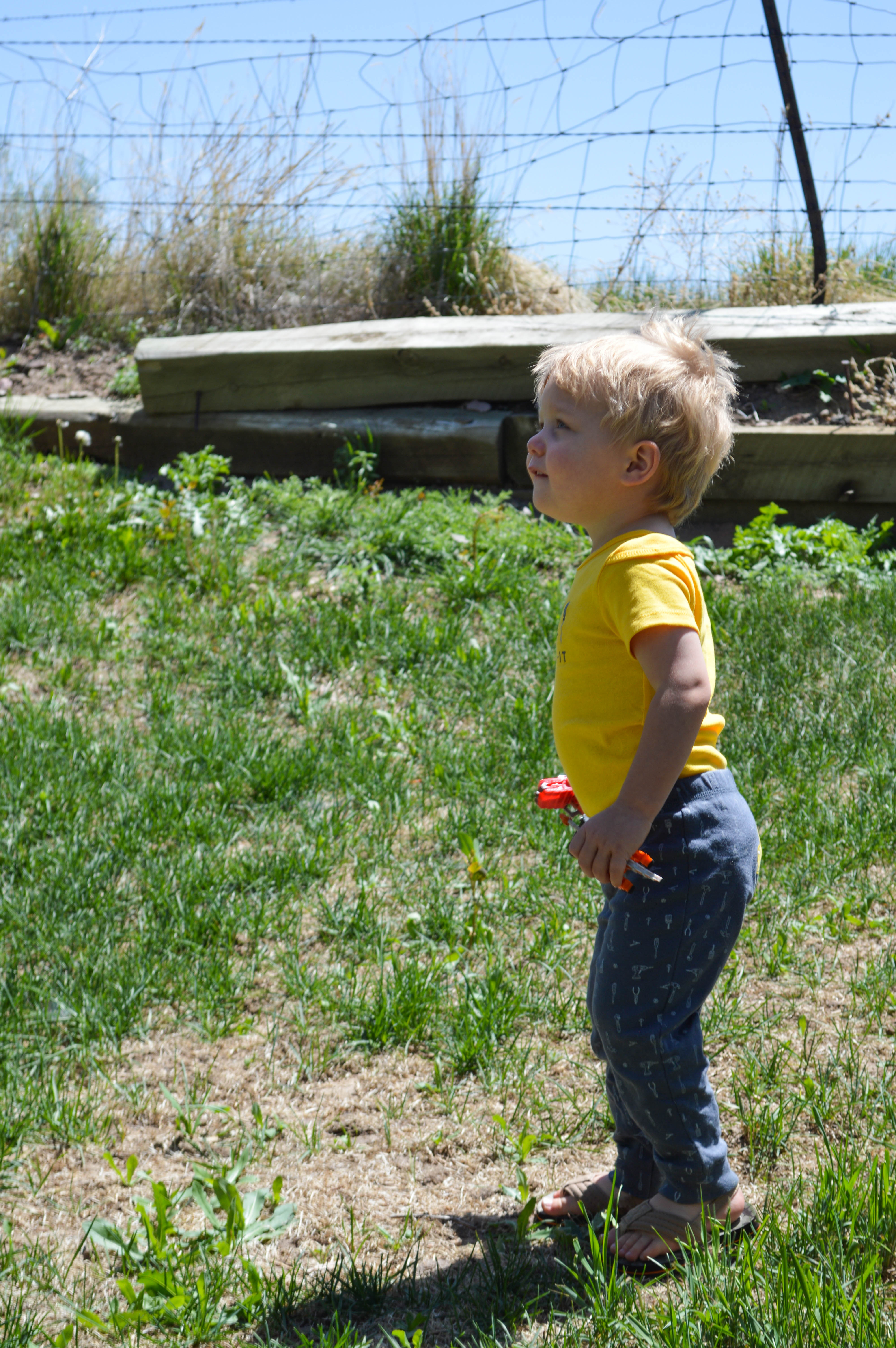 Becoming a Big Brother featured by popular Denver lifestyle blogger, All Things Lovely