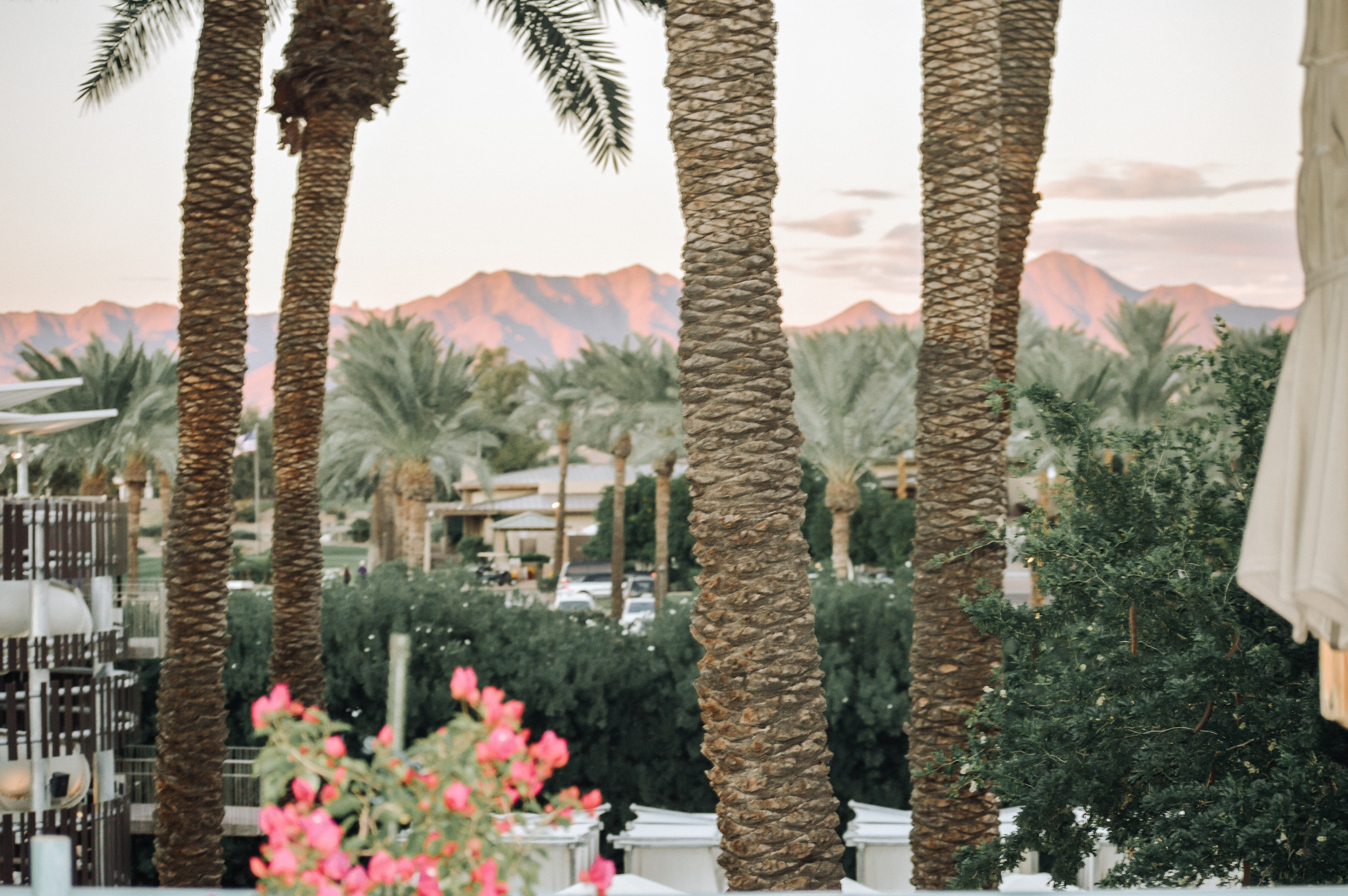 hyatt regency scottsdale resort and spa review featured by top Denver travel blog, All Things Lovely