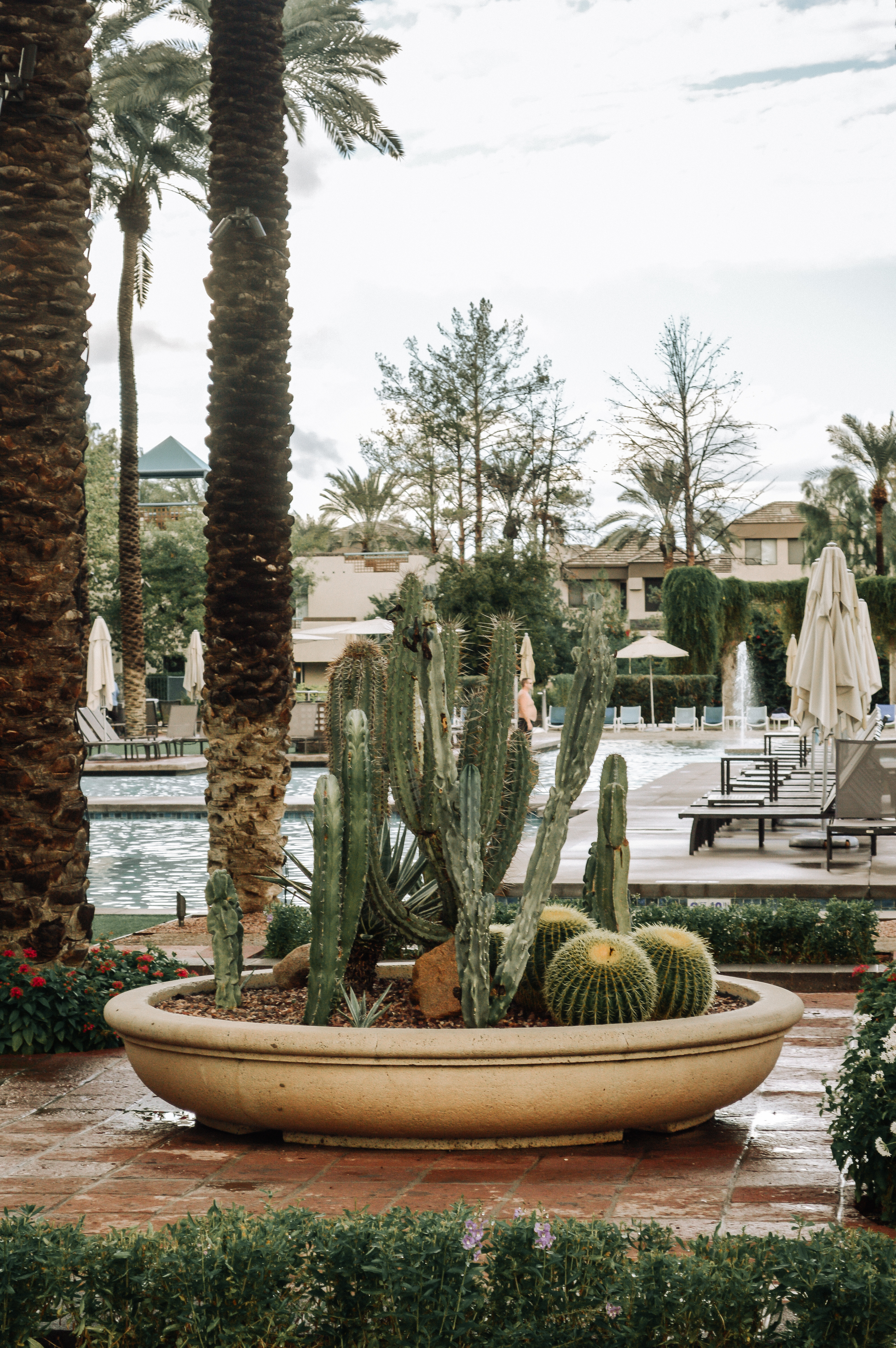 hyatt regency scottsdale resort and spa review featured by top Denver travel blog, All Things Lovely